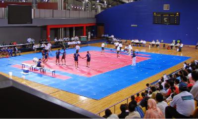 Kabaddi Mats